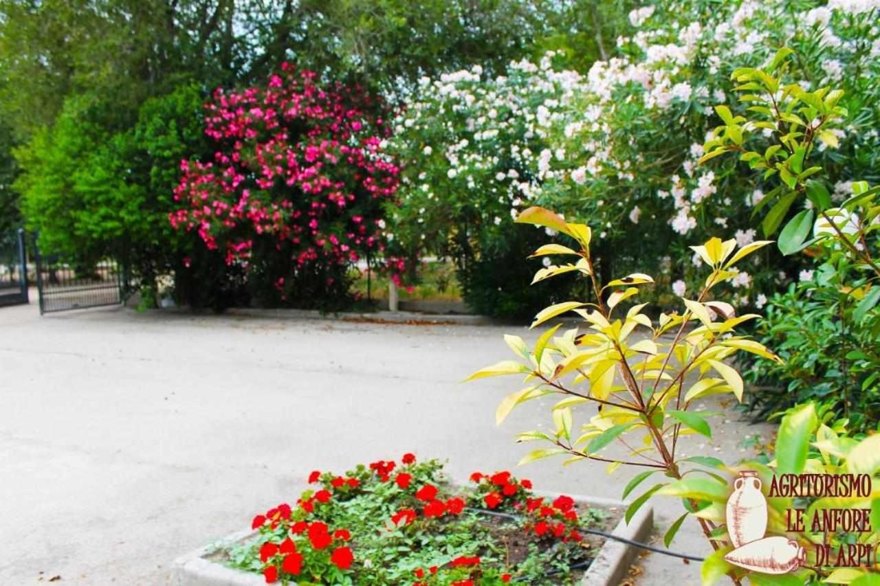 Le Anfore Di Arpi Foggia Quarto foto